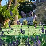 Adelebeppe 