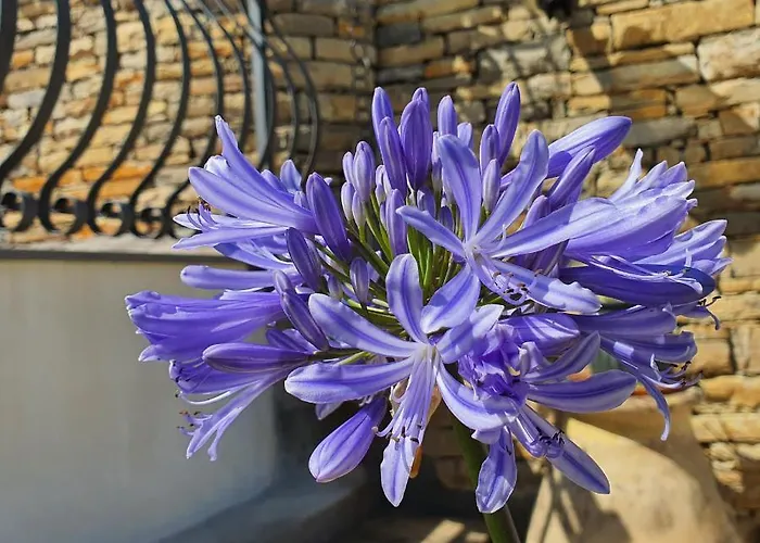 Lägenhet Adelebeppe 