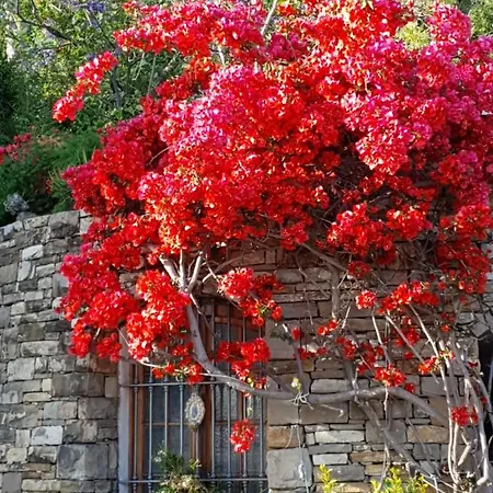 Appartement Adelebeppe 