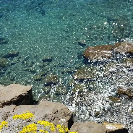 Adelebeppe Imperia