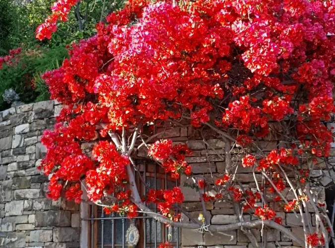 Apartmán Adelebeppe 